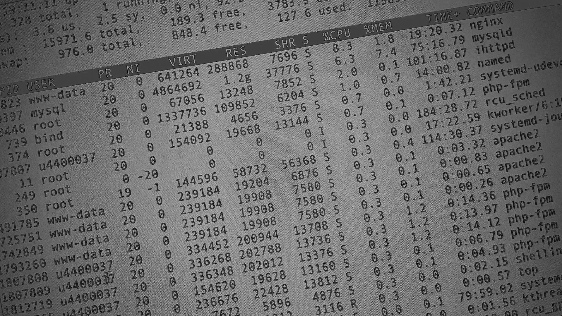 Настройка сервера в Радужном