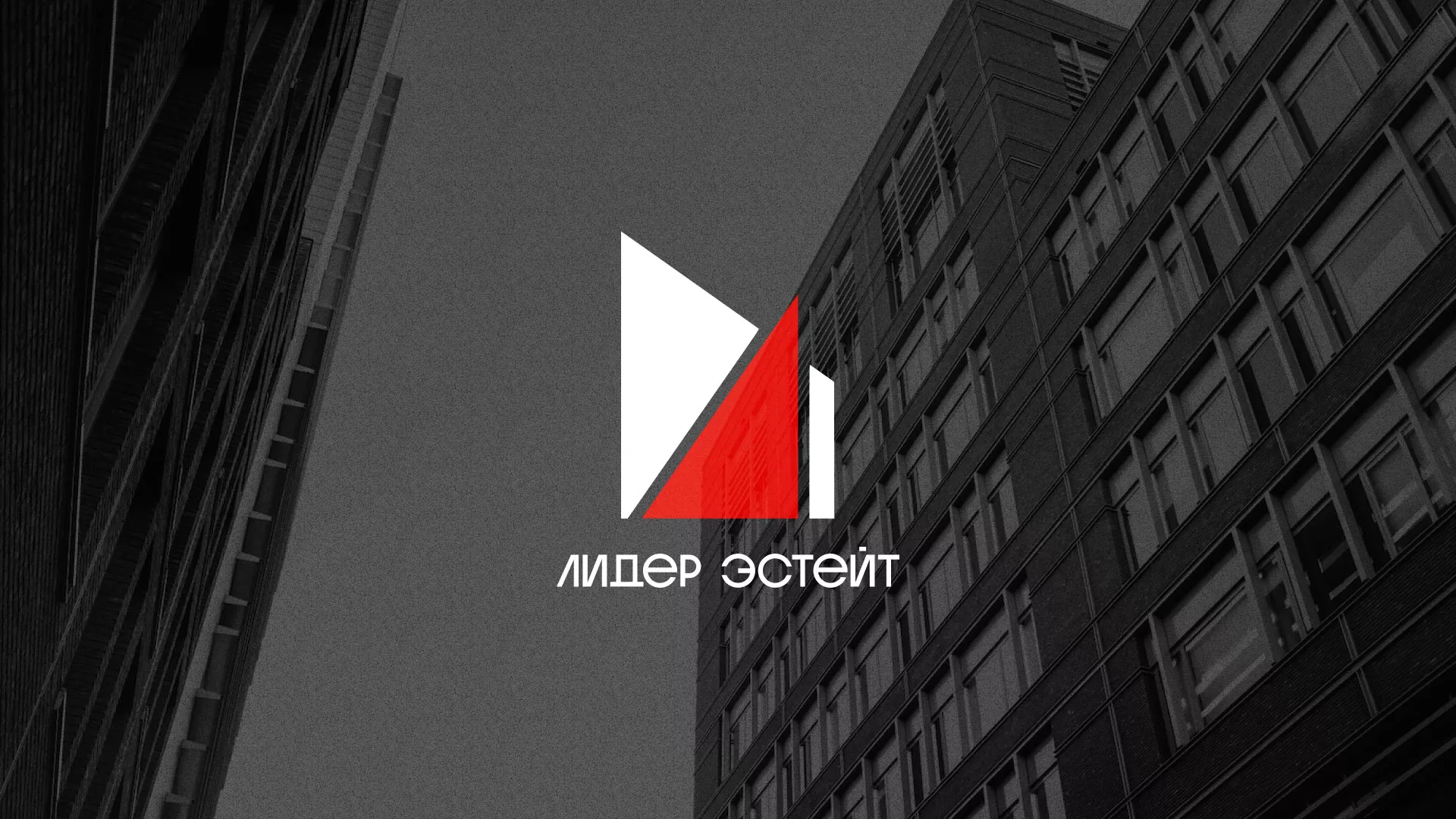 Сделали логотип для агентства недвижимости «Лидер Эстейт» в Радужном